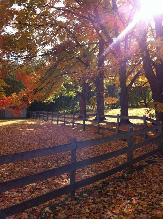 Отель The Maples Bed And Breafast Angus Экстерьер фото