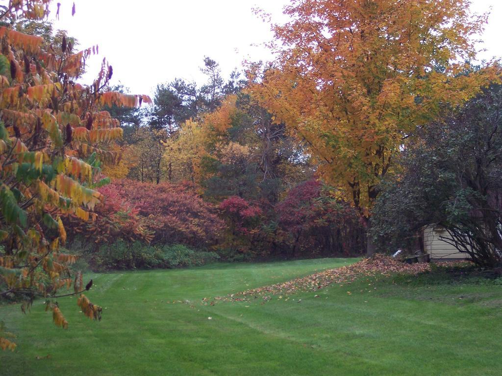Отель The Maples Bed And Breafast Angus Экстерьер фото